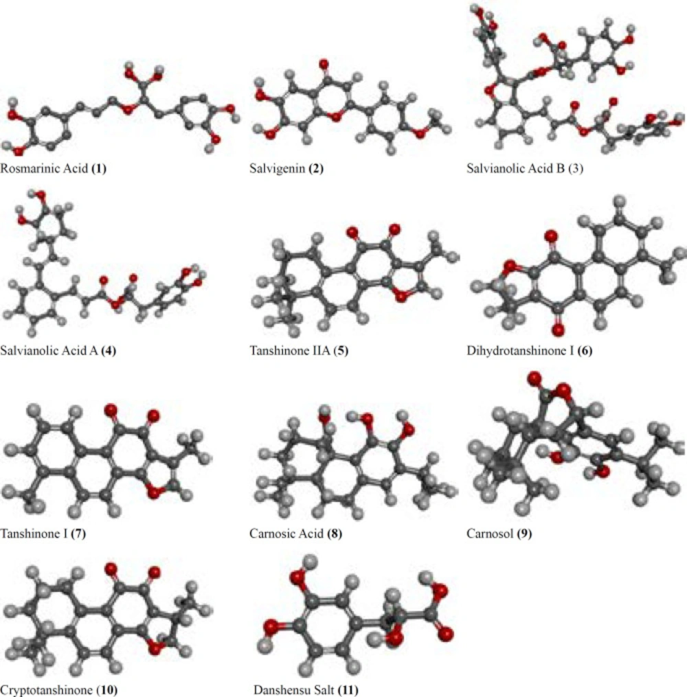 The structures of potent inhibitors