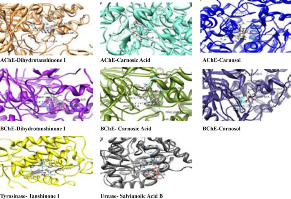 Docking results of ligands in catalytic pocket of enzymes