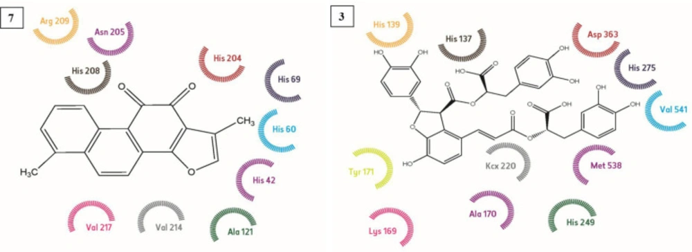 Binding mode of complex Tanshinone I (7) with Tyrosinase and complex Salvianolic acid B (3) with urease in 2 D representation