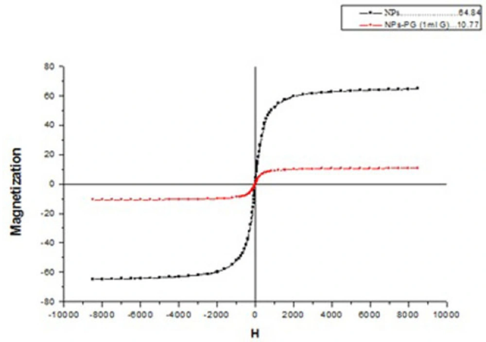 VSM plot for SPIONs and PG-SPIONs