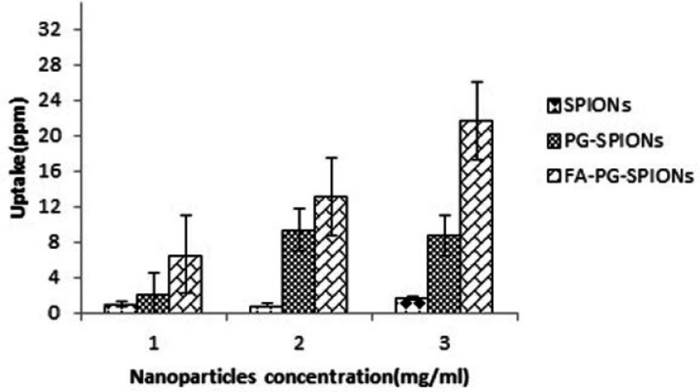Nanoparticles uptake by U87-MG cells