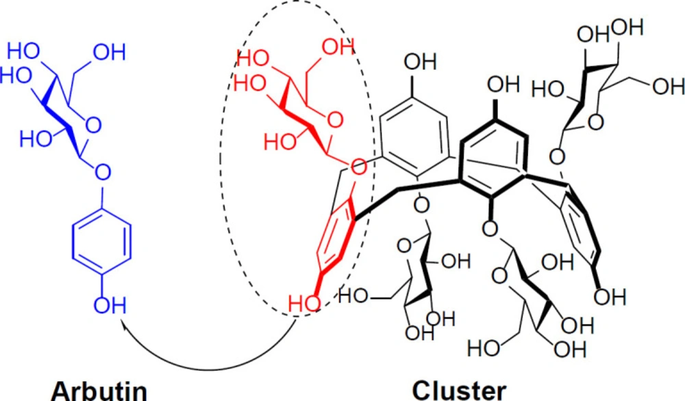 Structural comparison of arbutin with its corresponding cluster