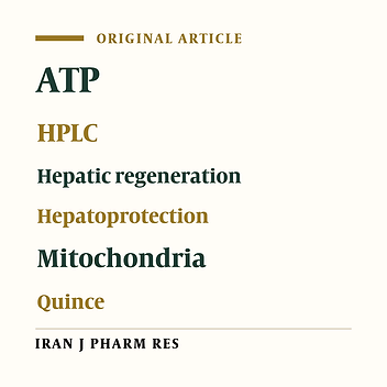 Protective Effects of Cydonia oblonga Mill. Fruit on Carbon Tetrachloride-induced Hepatotoxicity Mediated through Mitochondria and Restoration of Cellular Energy Content