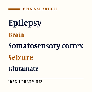 Glutamate Signaling Pathway in Absence Epilepsy: Possible Role of Ionotropic AMPA Glutamate Receptor Type 1 Subunit