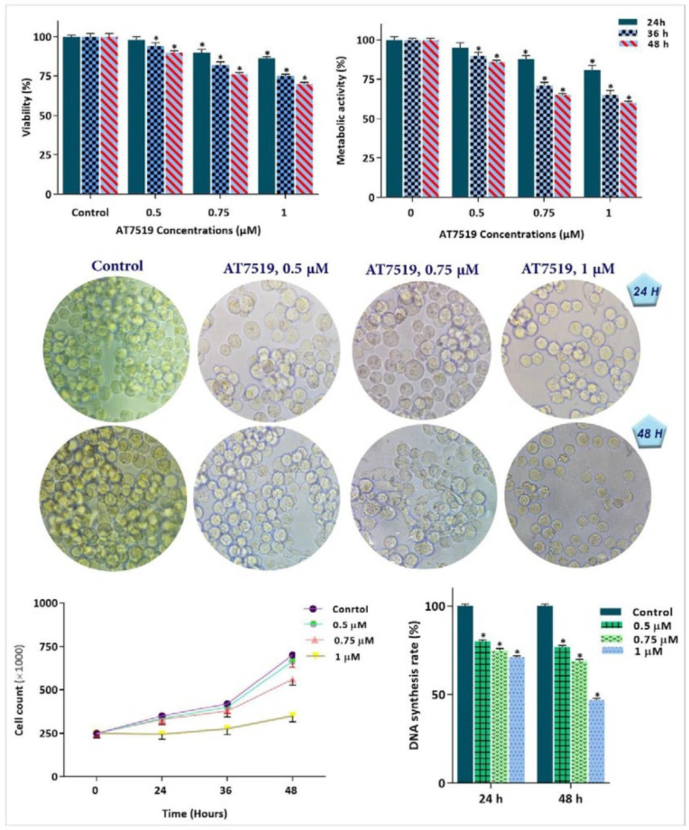 Cytotoxic effect of the CDK inhibitor on KG-1 cells. CDK suppression using AT7519 not only reduced the survival and proliferative capacity of KG-1 cells, but also restrained the DNA synthesis rate and diminished the number of viable cells. Values are given as mean ± SD of three independent experiments. <sup>*</sup><i>P</i> ≤ 0.05 represents significant changes from untreated control