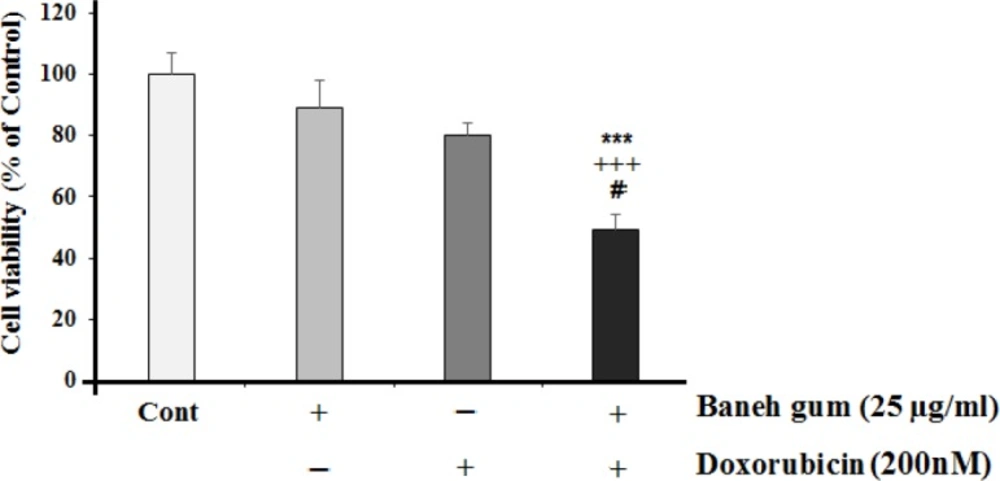 Effects of 25 µg/mL of Baneh gum alone or in combination with doxorubicin (200 nM) on MCF-7 cells. Combination treatment in comparison with each drug alone can induce significant cell toxicity. Each value in graph represents the mean ±SEM; n = 6 wells for each group; ***<i>P </i>< 0.001 significantly different versus control treated cells, +++<i>P </i>< 0.001 significantly different versus gum alone treated cells, #<i>P </i>< 0.05 significantly different versus doxorubicin alone incubated cells