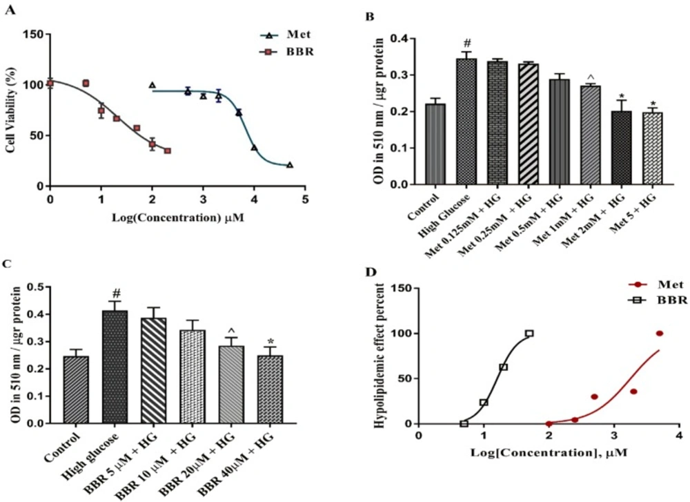 The cytotoxicity and lipid lowering effect of Metformin and berberine on HepG2 cells: (A) Cell growth activity was measured by MTT assay. IC50 of Metformin and berberine were 9.819 mM 65.83 μM, respectively. (B-C) Total lipid content of the cells treated by different concentrations of Metformin and berberine alone. Total lipid content was evaluated by Oil red O staining method. (D) EC50 for Metformin and berberine treatments were 1.786 mM and 16.07 μM, respectively. Represented data are from three independent experiments and are means ± SEM. #: Control <i>vs. </i>High glucose, *: Treatments <i>vs. </i>High Glucose with <i>P </i>< 0.001, ^: Treatments <i>vs. </i>High Glucose with <i>P </i>< 0.05. Control: D-mannitol (27.5 mM mannitol) in normal glucose (NG) (5.5 mM glucose); HG: High (33 mM glucose); Met: Metformin; BBR: Berberine