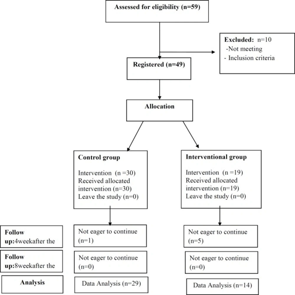 CONSORT flow chart of participants