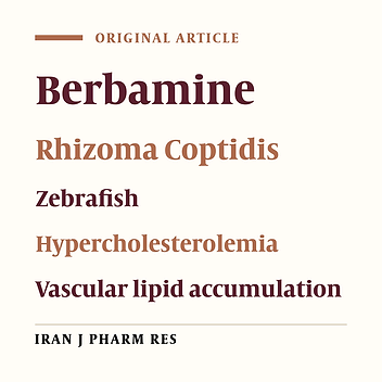 Anti-hypercholesterolemic Effect of Berbamine Isolated from Rhizoma Coptidis in Hypercholesterolemic Zebrafish Induced by High-Cholesterol Diet