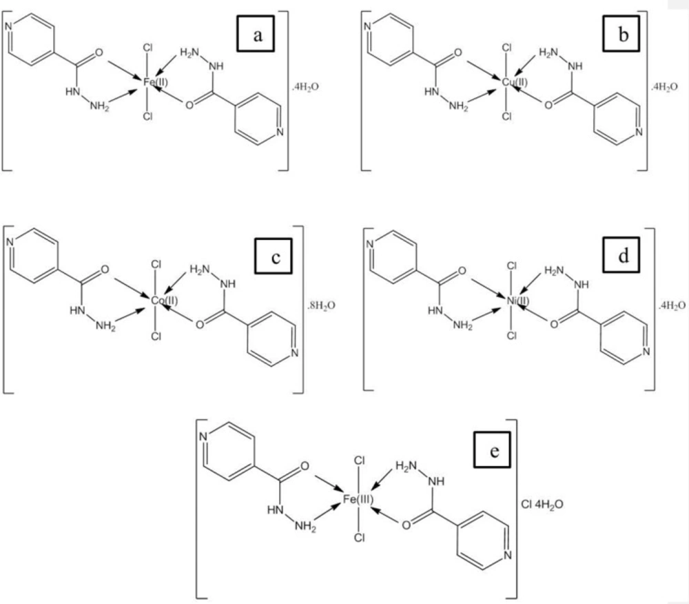 Structure of Metal complexes of PZ (a) Cu(II), (b) Mn(II), (c) Co(II), (d) Fe(II) and (e) Fe(III).