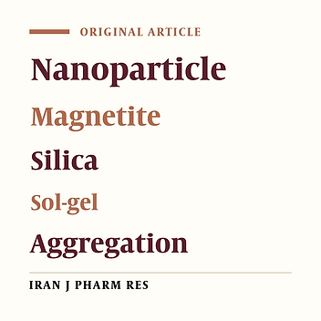 Synthesis of Silica-coated Iron Oxide Nanoparticles: Preventing Aggregation without Using Additives or Seed Pretreatment