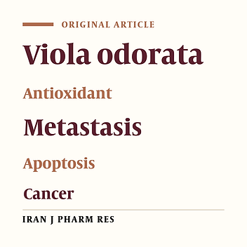 Inhibitory Effect of Viola odorata Extract on Tumor Growth and Metastasis in 4T1 Breast Cancer Model