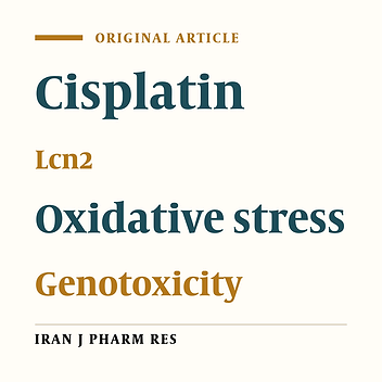 Lipocalin2 Protects Human Embryonic Kidney Cells against Cisplatin–Induced Genotoxicity