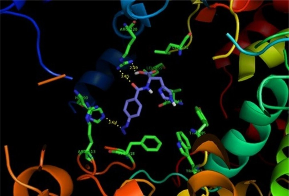 <i>p</i>-N<sub>3</sub>Bz -His (2d) (purple) docked in the active site of 6COX . Hydrogen atoms of the amino acid residues have been removed to improve clarity
