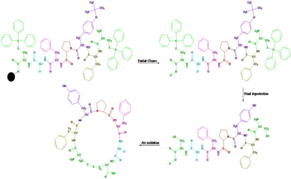 The Solid-Phase Synthesis of linear and cyclic disulfide analogues of Longicalycinin A <i>via </i>2-chlorotrityl chloride resin