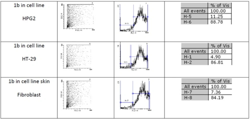 An estimate of the percentage of normal and apoptotic nuclei for 1b by analysis of the DNA histogram after elimination of residual debris.