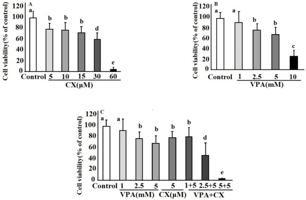 The effects celecoxib (CX), sodium valproate (VPA) and combination of both drugs (VPA+CX) on viability of BCPAP cells using MTT assay. The represented data are mean ± SD of at least three independent experiments and were analyzed using one-way ANOVA followed by Tukey’s post-hoc test. In each figure<b>, </b>groups indicated with different letters (a, b, c, d and e) had statistical significant differences at <i>P </i>< 0.05.