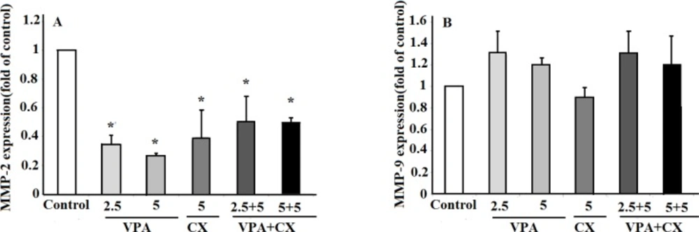 (A) The effects of VPA and CX on the exoression of MMP-2 and (B) MMP-9 in B-CPAP cells. Gene expression was normalized to the level of GAPDH within each sample using the relative ΔΔCT method. The represented data are mean ± SD of at least three independent experiments and were analyzed using one-way ANOVA followed by Tukey’s post-hoc test. <sup>*</sup><i>P </i>< 0.05 compared to control group.