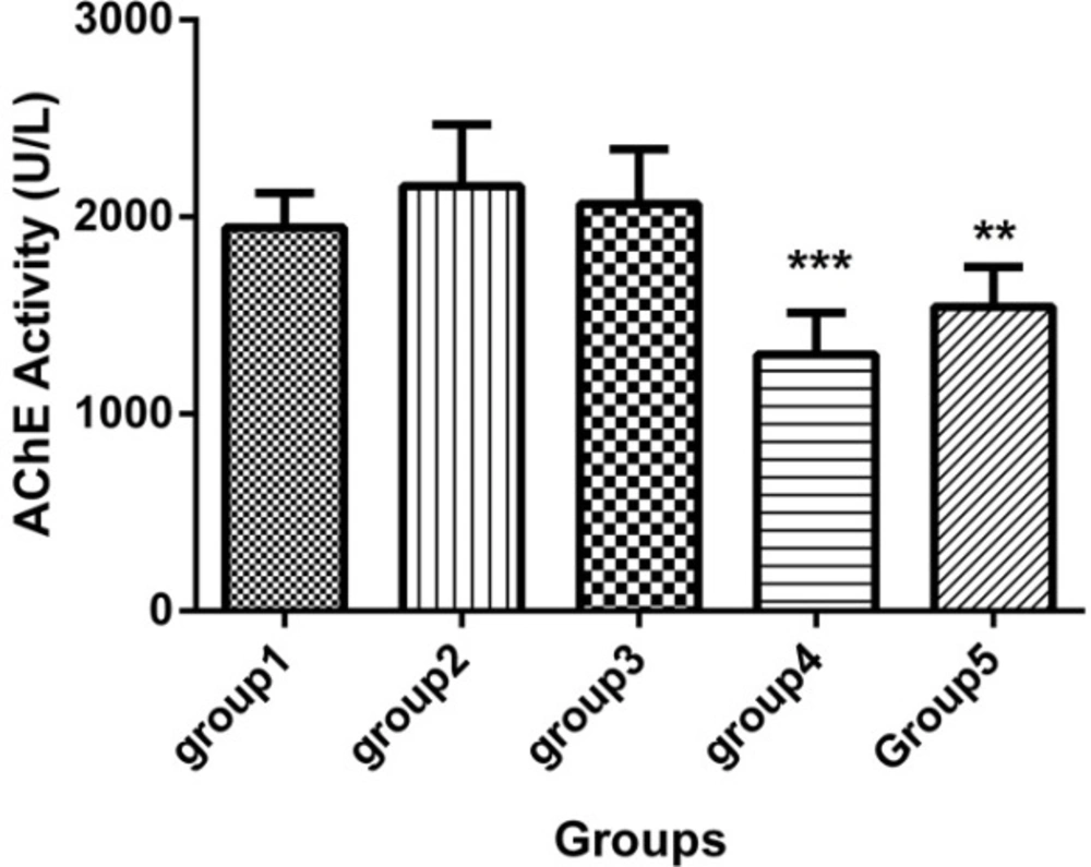 Acetylcholine esterase (AChE) activity in the sera of 5 groups with 7 mice in each (Mean ± SD), 21 days after the last injection. Group1 received no medication. Group 2 received normal saline as i.p. and 1h later, DFP 1 mg/kg subcutaneously. Group 3 received neurobion in 150 mg/kg i.p. and 1h later, DFP 1mg/kg subcutaneously. Group 4 received dexamethasone in 2 mg/kg i.p. and 1h later, DFP 1mg/kg subcutaneously. Group 5 received Neurobion in 150 mg/kg i.p. and Dexamethasone in 2 mg/kg i.p. and 1h later, DFP 1mg/kg subcutaneously. Compared to group 2, AChE activity of group 4 and 5 were significantly differed. **<i>p</i> < 0.01 and ***<i>p</i> < 0.001, one-way ANOVA with post hoc Dunnett's multiple comparisons test.