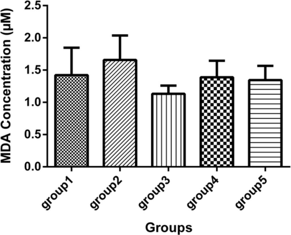 Malondialdehyde concentration (mcM) in the sera of 5 groups, with 7 mice in each group (Mean ± SD) 21 days after the last injection. Group1 received no medication. Group 2 received normal saline as i.p. and 1h later, DFP 1 mg/kg subcutaneously. Group 3 received neurobion in 150 mg/kg i.p. and 1 h later, DFP 1mg/kg subcutaneously. Group 4 received dexamethasone in 2 mg/kg i.p. and 1 h later, DFP 1mg/kg subcutaneously. Group 5 received Neurobion in 150 mg/kg i.p. and Dexamethasone in 2 mg/kg i.p. and 1h later, DFP 1mg/kg subcutaneously. There were no significant differences between the groups compared to group 2 <i>p</i> < 0.05, one-way ANOVA with post hoc Dunnett's multiple comparisons test.