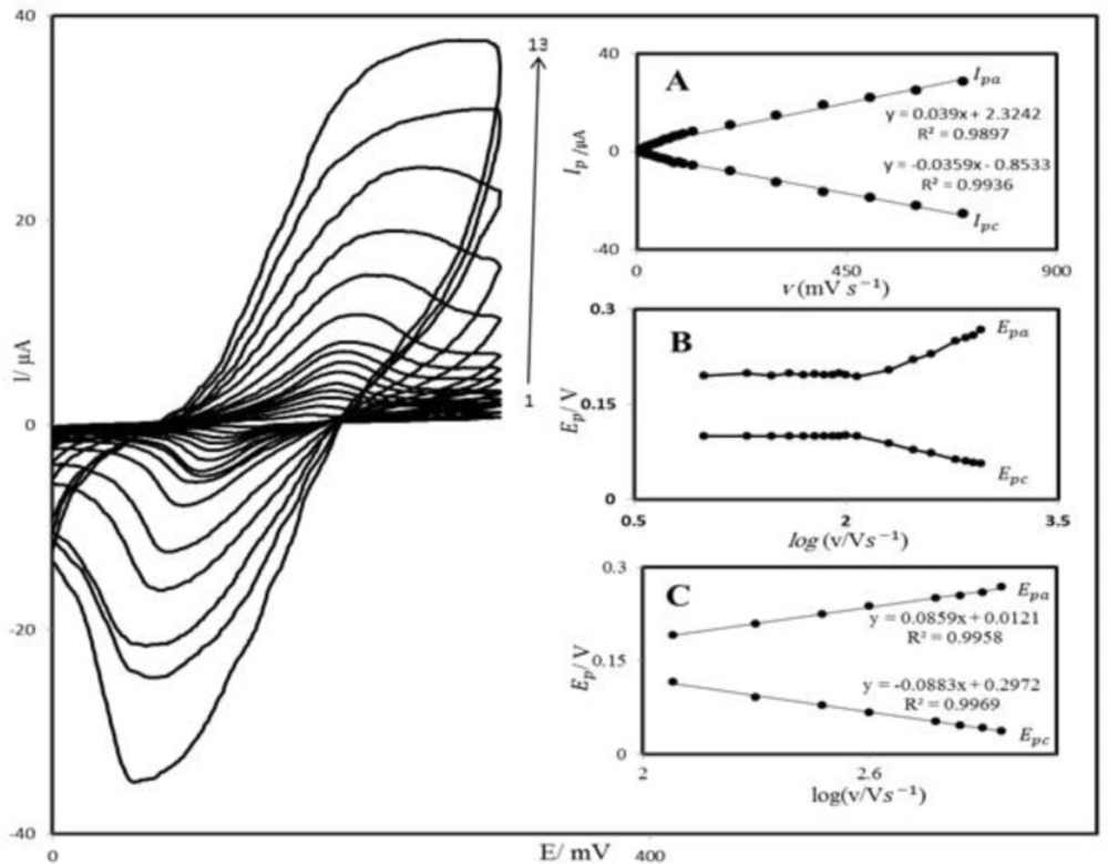 Cyclic voltammograms of PBDCNPE in 0.1 M phosphate buffer (pH 7.0), at various scan rates: the numbers1–13 correspond to 10, 20, 50, 70, 80, 100, 120, 200, 300, 400, 600, 800 and 1200 mV s<sup>−1</sup> scan rates, respectively. Insets: (A) Variations of I<sub>p</sub> versus scan rates (B) Variation of E<sub>p</sub> versus the logarithm of the scan rate. (C) Magnification of the same plot for high scan rates.