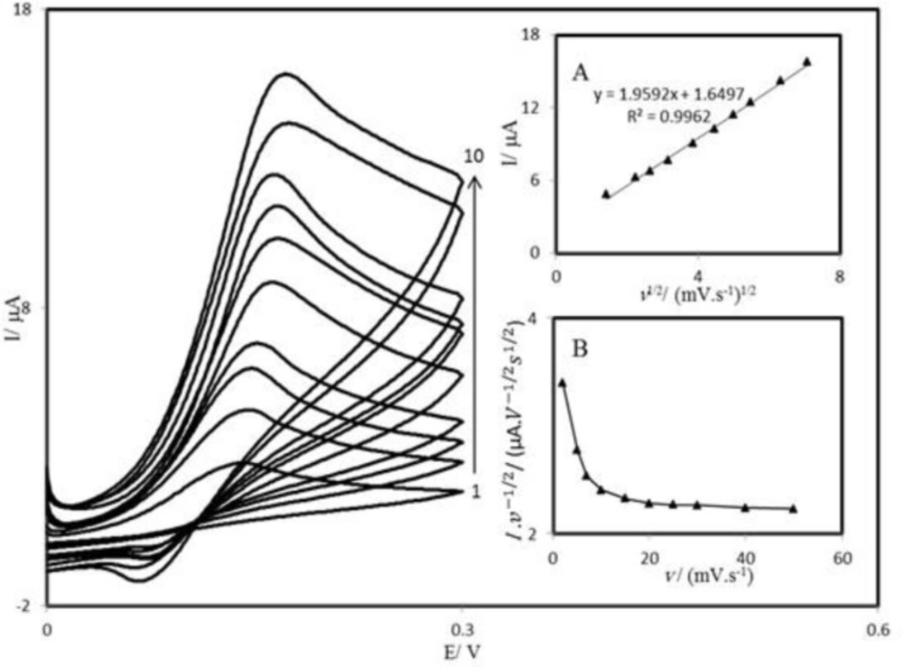 Cyclic voltammograms of a PBDCNPE in 0.1 M phosphate buffer (pH 7.00) containing 1.0 mM AA at different scan rates; the numbers 1 to 10 correspond to 2, 5, 7, 10, 15, 20, 25, 30, 40 and 50 mV s<sup>–1</sup> scan rates, respectively. Insets: (A) Variation of the electrocatalytic currents <i>vs.</i> the square root of scan rate, (B) variation of the scan rate normalized current (Ip/v1/2) with scan rate.