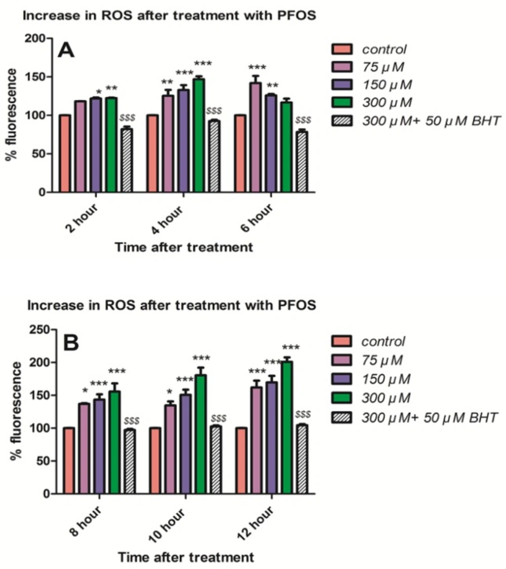 Generation ROS in isolated human lymphocyte after treatment with PFOS. ROS generation in human lymphocyte after treatment with PFOS for different time intervals. ROS generation was measured in cells using dichlorofluoresceindiacetate (DCFH-DA) and fluorescence spectrophotometer. Induction of ROS by PFOS was significant (<i>P <</i> 0.05) at concentration 150 and 300 µM at 2 h and at all concentration at 4 h and at 6 h only at concentration 75 µM in comparison with control, but ROS formation after 6 h significantly(<i>P <</i> 0.05) increased until 12 h in comparison with control. Buyhylatedhydroxytoluene (BHT), an antioxidant, inhibited ROS induction by PFOS in human lymphocytes. <sup>*</sup><i>P </i>< 0.05, <sup>**</sup><i>P </i>< 0.01 and <sup>***</sup><i>P </i>< 0.001.