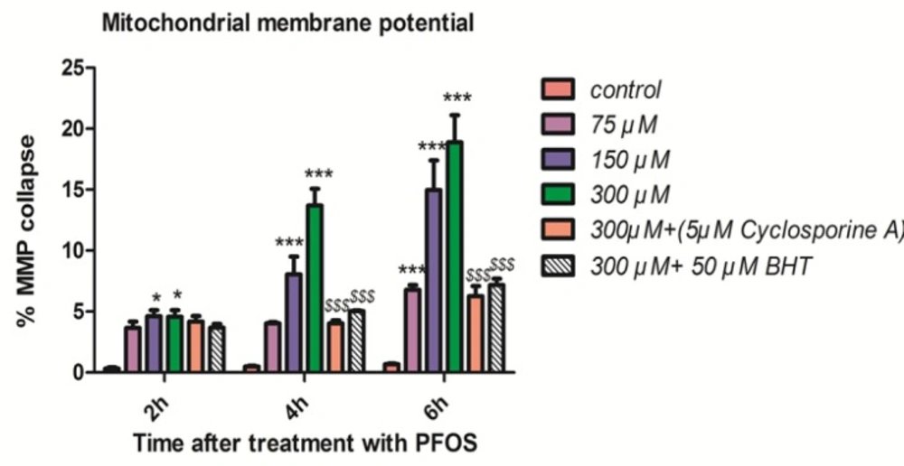 Collapse of mitochondrial membrane potential (MMP) in human lymphocytes following PFOS treatment.PFOS-induced collapse of mitochondrial membrane potential (MMP) in human lymphocytes. MMP was assessed at 2, 4 and 6 h following incubation of lymphocytes with PFOS. Two hours after treatment of human lymphocytes with PFOS, collapse in mitochondrial membrane potential started, but this collapse was not statistically significant (<i>P <</i> 0.05) until 4 h. PFOS significantly (<i>P <</i> 0.05) reduced mitochondrial membrane potential at two higher concentration (150 and 300 µM) at 4 h and at all concentration at 6 h in comparison with control. Cyclosporine A and BHT inhibited PFOS-induced collapse in MMP. <sup>*</sup><i>P </i>< 0.05, <sup>**</sup><i>P </i>< 0.01 and <sup>***</sup><i>P </i>< 0.001.