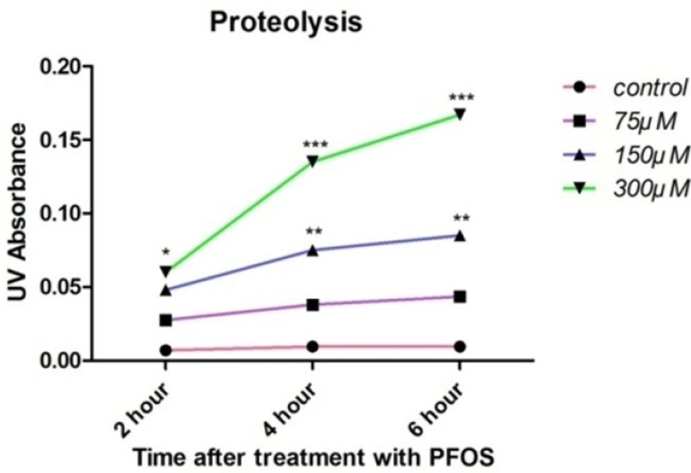 PFOS-induced cellular proteolysis in human lymphocytes.Cellular proteolysis after treatment of human lymphocytes with PFOS. Cellular proteolysis was assessed based on reaction of OPA with amino groups in presence of 2-mercaptoethanol. Statistically significant (<i>P <</i> 0.05) increase in free amino acids was observed at highest concentration of PFOS (300 µM) at all of time intervals, but 150 µM PFOS induced significant (<i>P <</i> 0.05) release of amino acids only at 4 and 6 h after treatment in comparison with control. <sup>*</sup><i>P </i>< 0.05, <sup>**</sup><i>P </i>< 0.01 and <sup>***</sup><i>P </i>< 0.001.