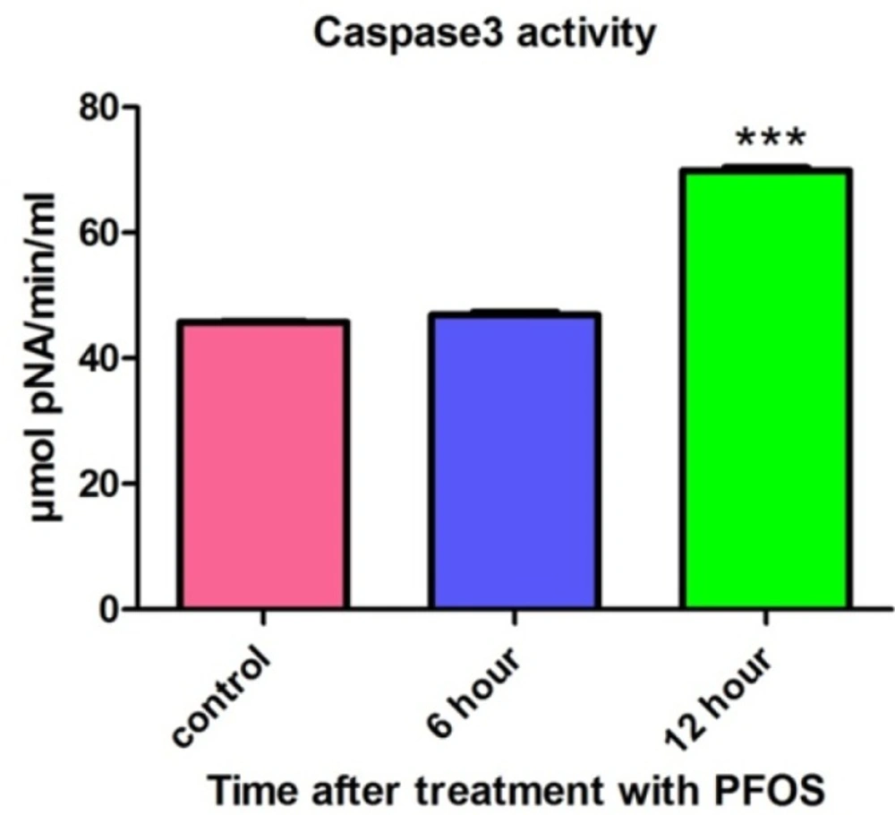 Activity of caspase-3 in human lymphocytes following PFOS treatment. The effect of PFOS on activity of caspase-3 in cultured human lymphocytes. Caspase-3 activity was assessed after treatment of human lymphocytes with IC<sub>50 </sub>(150 µM) of PFOS for 6 and 12 h. PFOS (150 µM), significantly (<i>P <</i> 0.05) increased activity of caspase-3 in human lymphocytes after 12 h incubation in comparison with control. <sup>*</sup><i>P </i>< 00.05, <sup>**</sup><i>P </i>< 0.01 and <sup>***</sup><i>P </i>< 0.001.