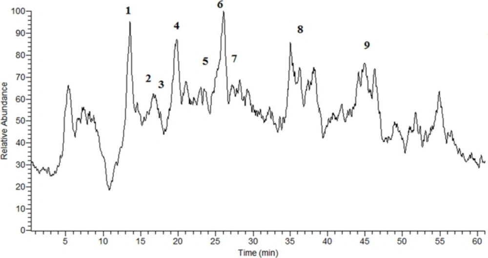 The TIC chromatogram of the <i>G. glabra</i> extract obtained in NI mode.