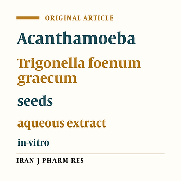 In-vitro Activity of Trigonella foenum graecum Seeds Against a Clinical Strain of Acanthamoeba Genotype T4