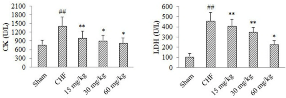 Effects of 4-ACGC on CK and LDH in CHF rats. Data were expressed as Mean ± S.D. <sup>##</sup><i>P</i> < 0.01, compared with sham group. *<i>P </i>< 0.05, compared with CHF group. **<i>P</i> < 0.01, compared with CHF group