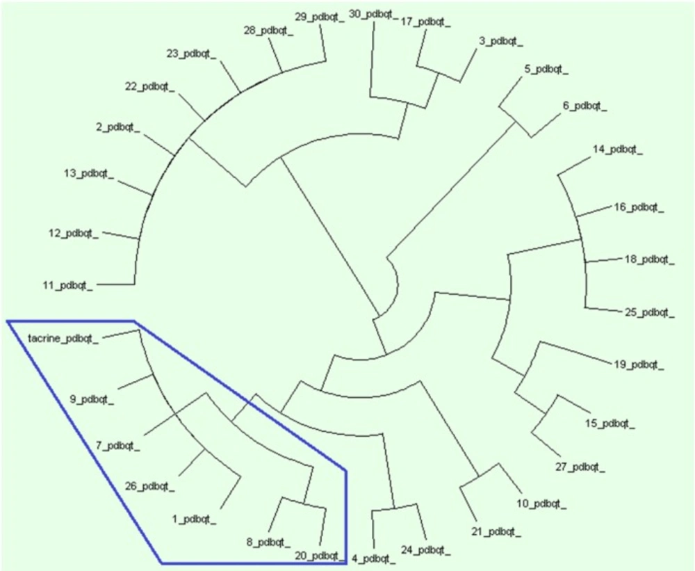 AuposSOM results for poses of docking. AuposSOM 2.1 web server results analysed by Dendroscope