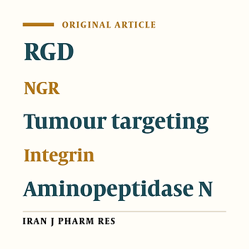 Design, Synthesis and Biological Evaluation of Ketoprofen Conjugated To RGD/NGR for Targeted Cancer Therapy