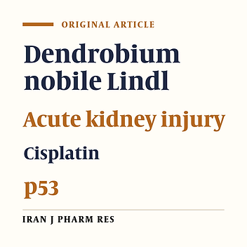 Protective Effects of Dendrobium nobile against Cisplatin Nephrotoxicity Both In-vitro and In-vivo
