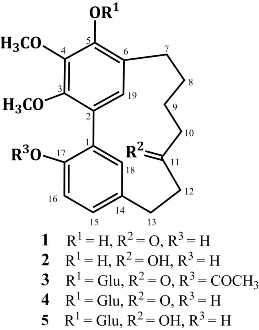 Structures of compounds <b>1</b>-<b>5</b>.