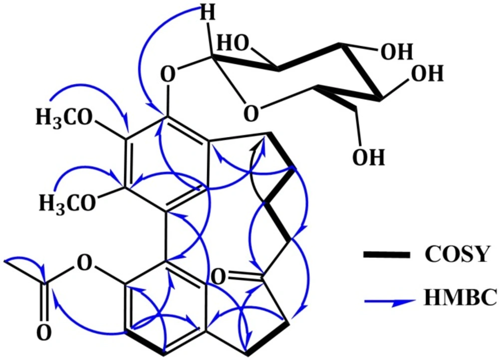 Important <sup>1</sup>H-<sup>1</sup>H COSY and HMBC correlations of alnuheptanoid B (<b>3</b>).
