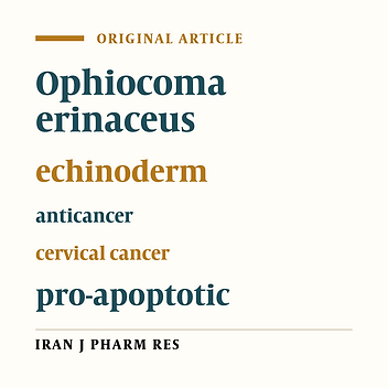 In-vitro Pro Apoptotic Effect of Crude Saponin from Ophiocoma erinaceus against Cervical Cancer