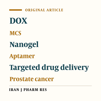Doxorubicin Loaded DNA Aptamer Linked Myristilated Chitosan Nanogel for Targeted Drug Delivery to Prostate Cancer