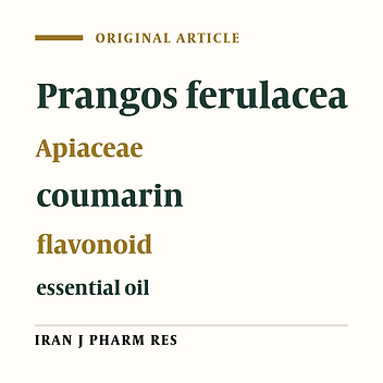 Isolation of Phenolic Derivatives and Essential Oil Analysis of Prangos ferulacea (L.) Lindl. Aerial Parts