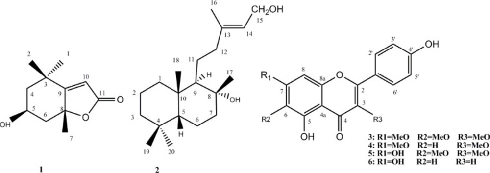 Chemical structures of compounds 1-6