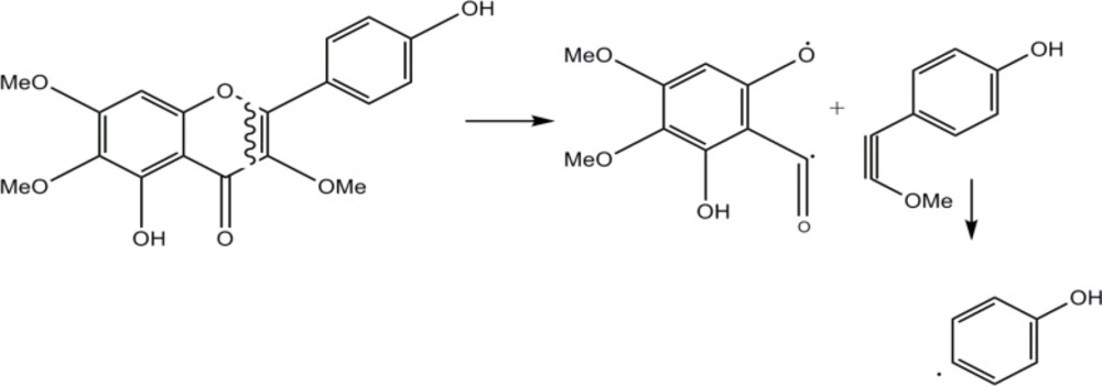 EI-Mass fragmentation pattern of compound 3. Cleavage of ring C by retro-Diels-Alder mechanism led to A (<i>m/z</i> 197), B (<i>m/z</i> 149), and C (<i>m/z</i> 93) ions