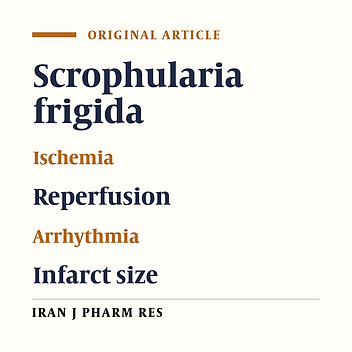 Cardioprotective Effects of Methanolic Extract of Scrophularia frigida on Ischemia-Reperfusion-Induced Injuries in Isolated Rat Heart