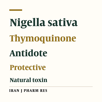Black Seed (Nigella Sativa) and its Constituent Thymoquinone as an Antidote or a Protective Agent Against Natural or Chemical Toxicities