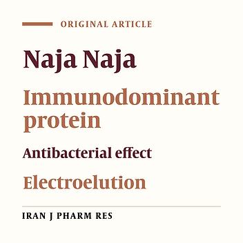 Antibacterial Activity of Isolated Immunodominant Proteins of Naja Naja (Oxiana) Venom