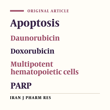 Evaluation of Apoptosis in Multipotent Hematopoietic Cells of Bone Marrow by Anthracycline Antibiotics