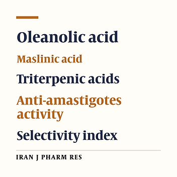 Selective activity of Oleanolic and Maslinic Acids on the Amastigote form of Leishmania Spp