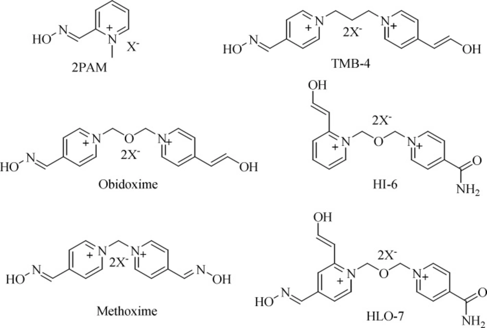 Commercially available AChE reactivators