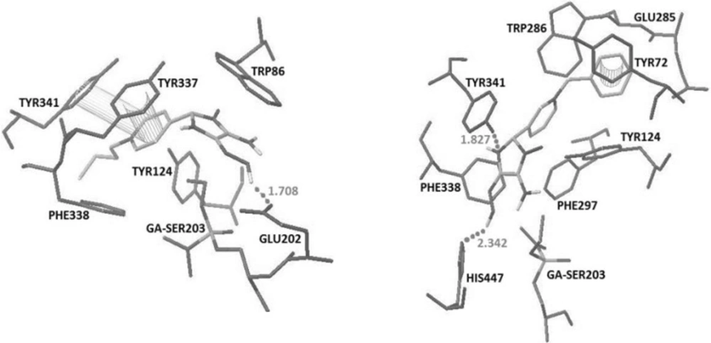 Synthetic scheme for the novel mono-pyridiniumoximes